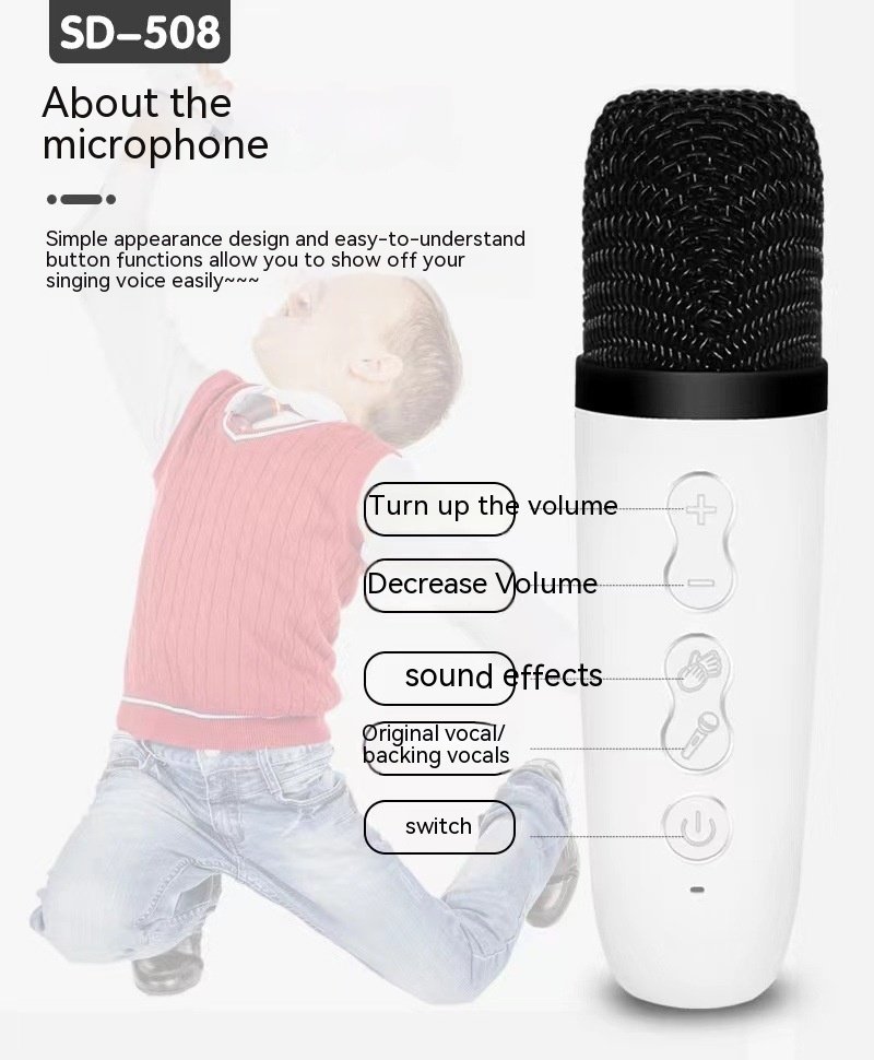 SD508 Wireless Karaoke Machine Play instruments & microphones   6