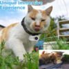 Mini Pet Camera Outdoor Camera Pets & animals 10